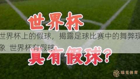 假球现象的存在严重影响了足球比赛的公正性和观赏性